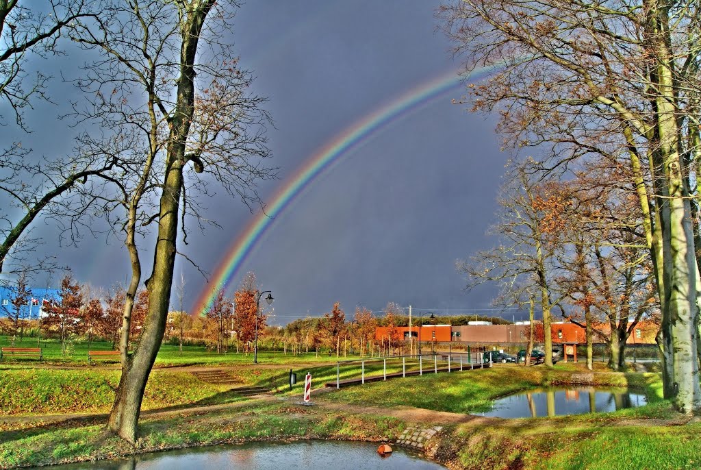 Stawy Klasztorne- Park Kulturowy