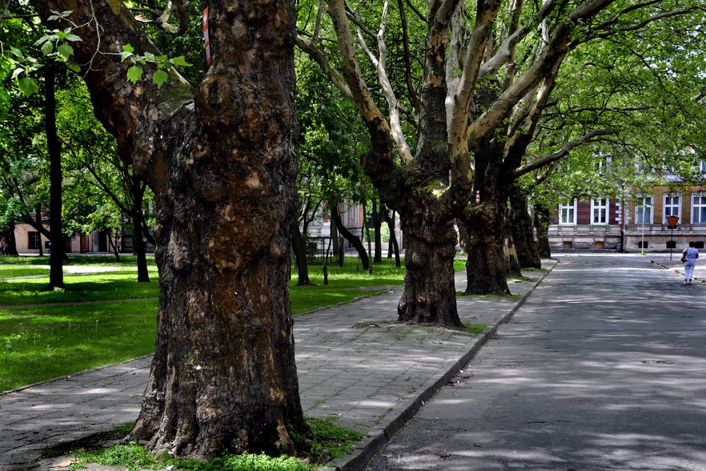 Pomorze; Pobrzeże Koszalińskie, Słupsk