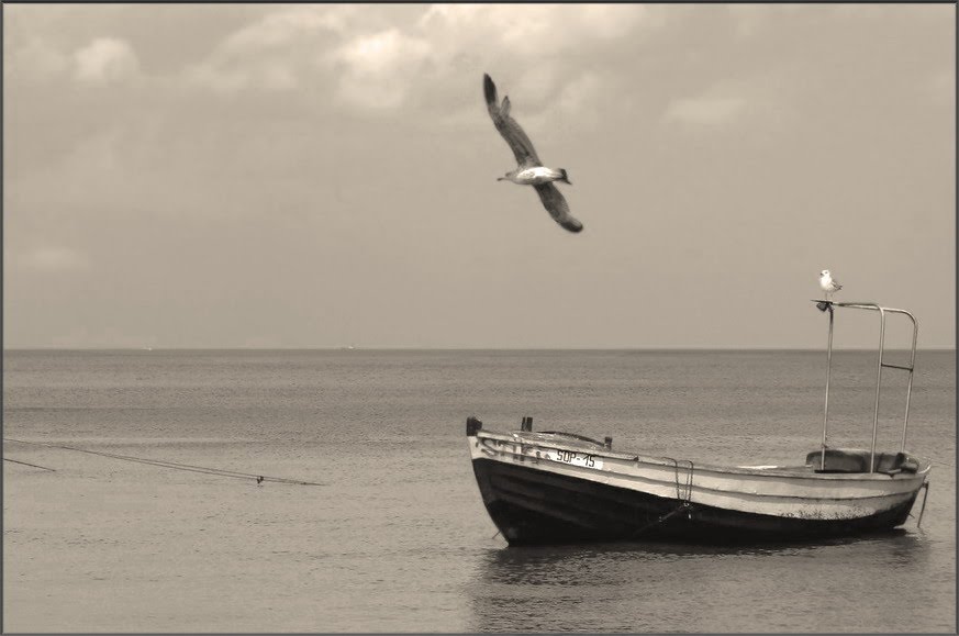 please do not fly away