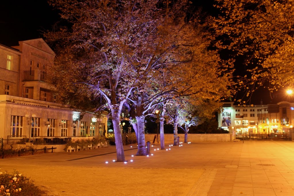 Sopot Plac Zdrojowy at night