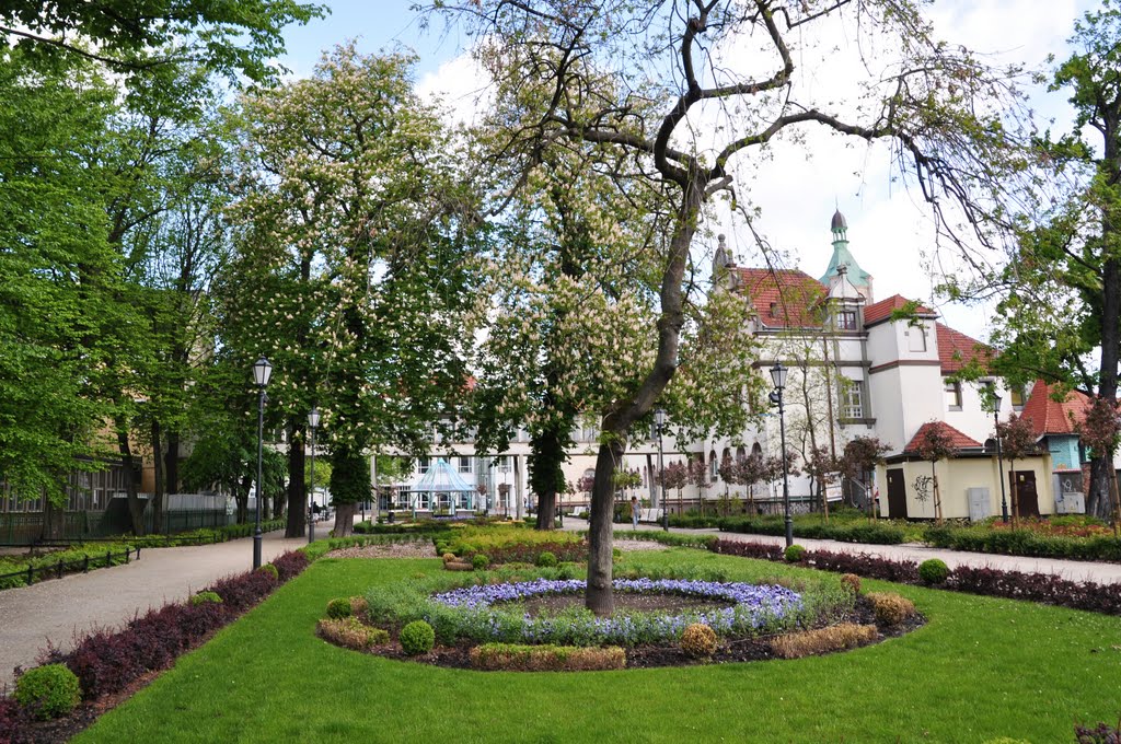 Sopot - park