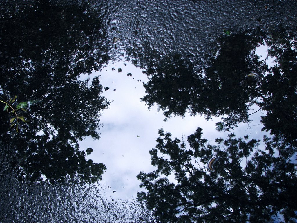 Отражение / Reflection