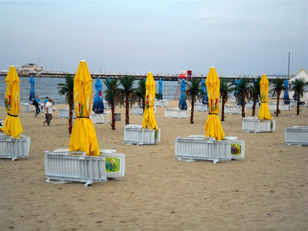 Palmy na Sopockiej plaży