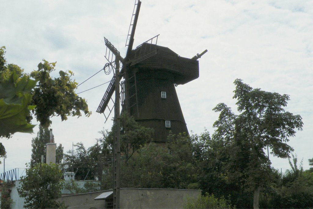 Wiatrak w Tczewie