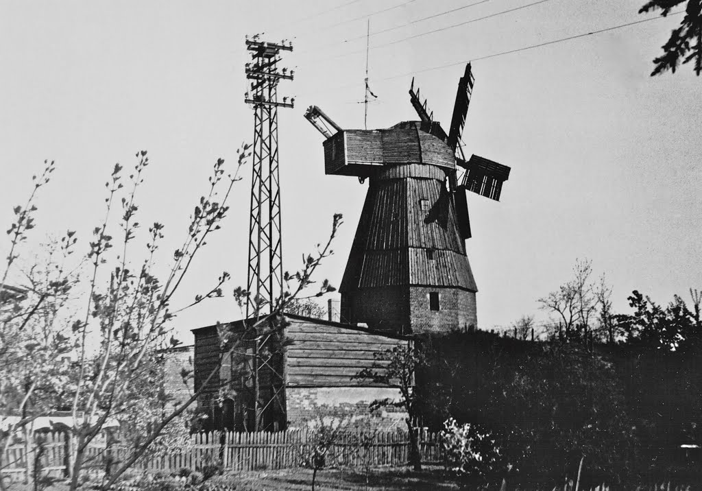 Wiatrak:1965