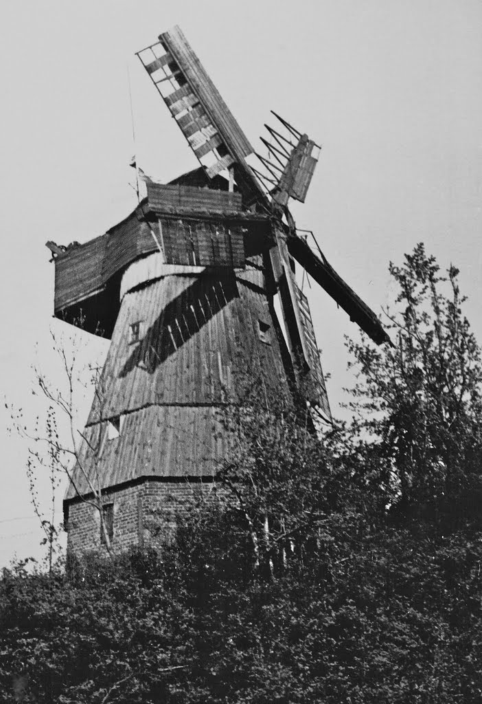 Wiatrak-1965