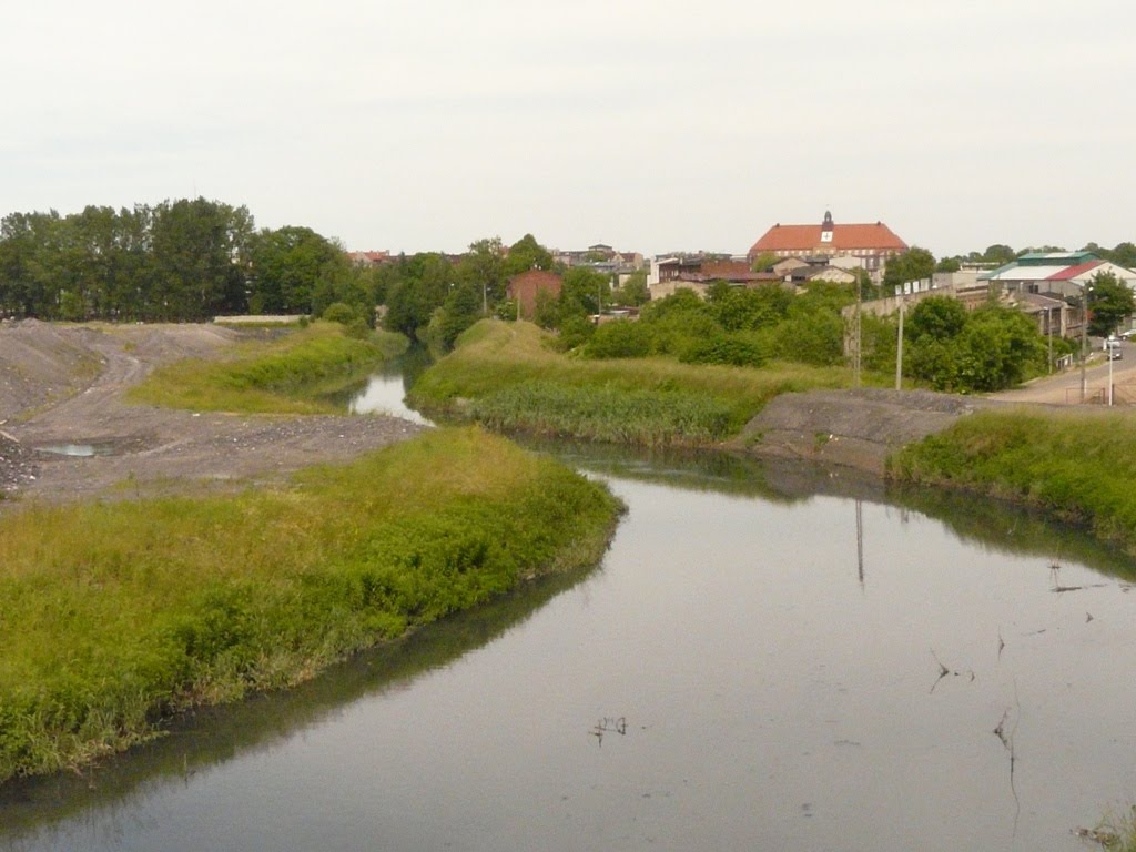 Szarlejka