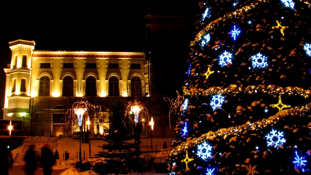 Bielsko Biała. Christmas tree and Castle by night.