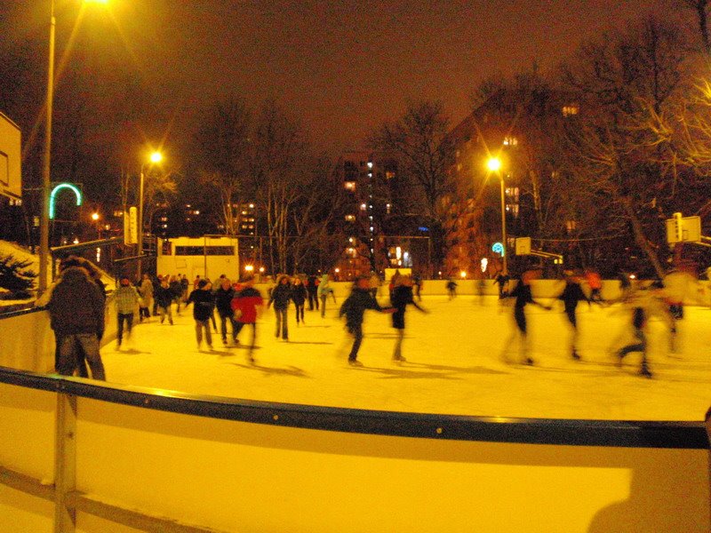 Ice-skating in 2008