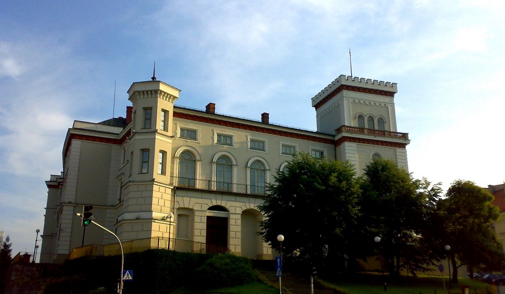 Sułkowski Castle