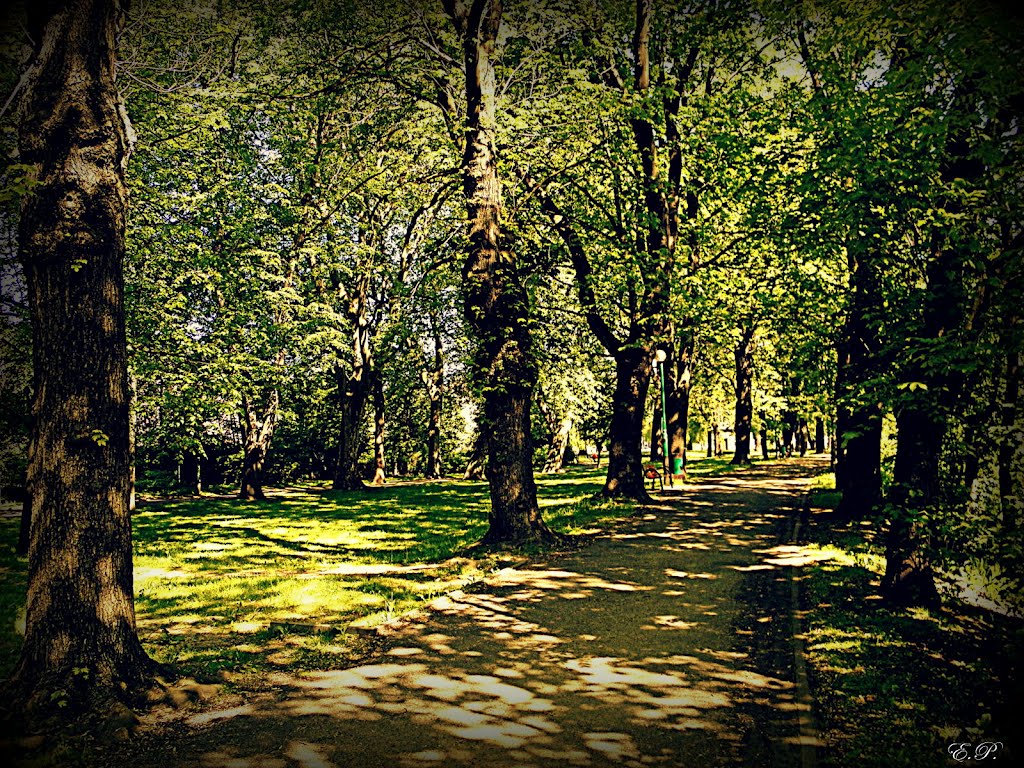 Park Mickiewicza.