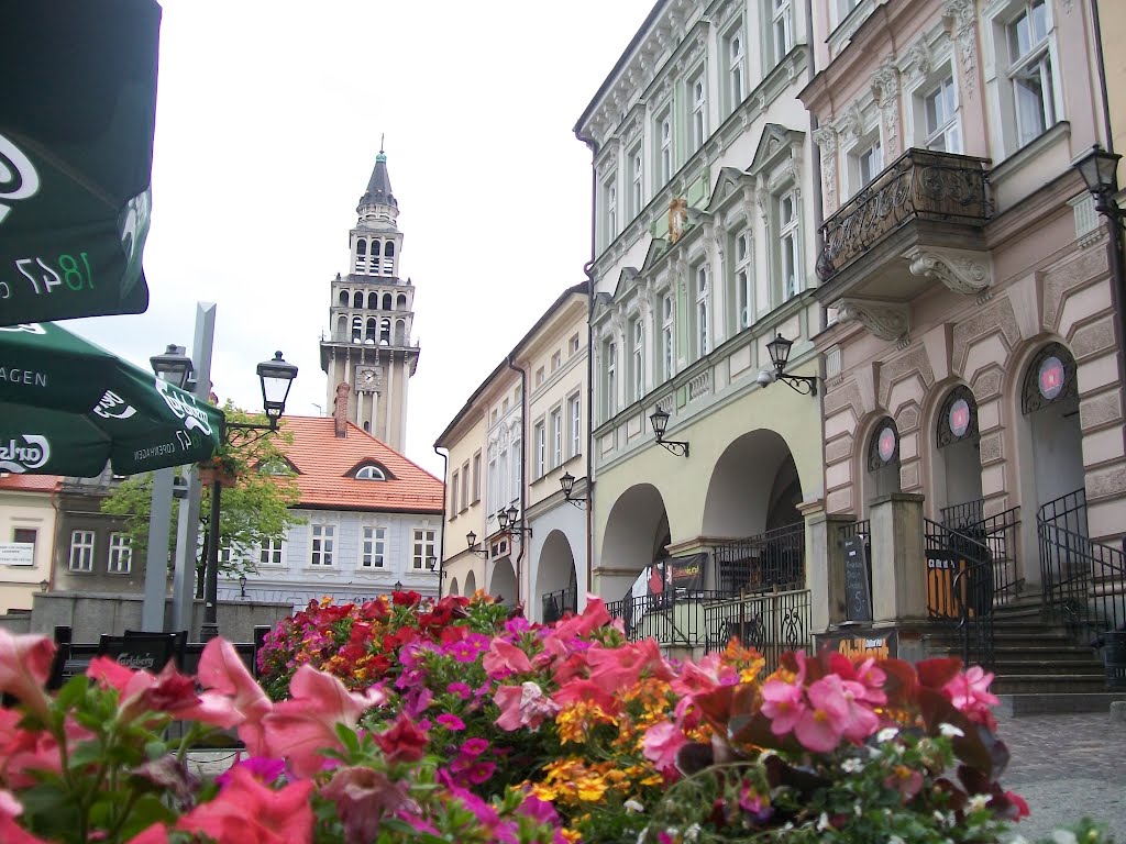 Rynek