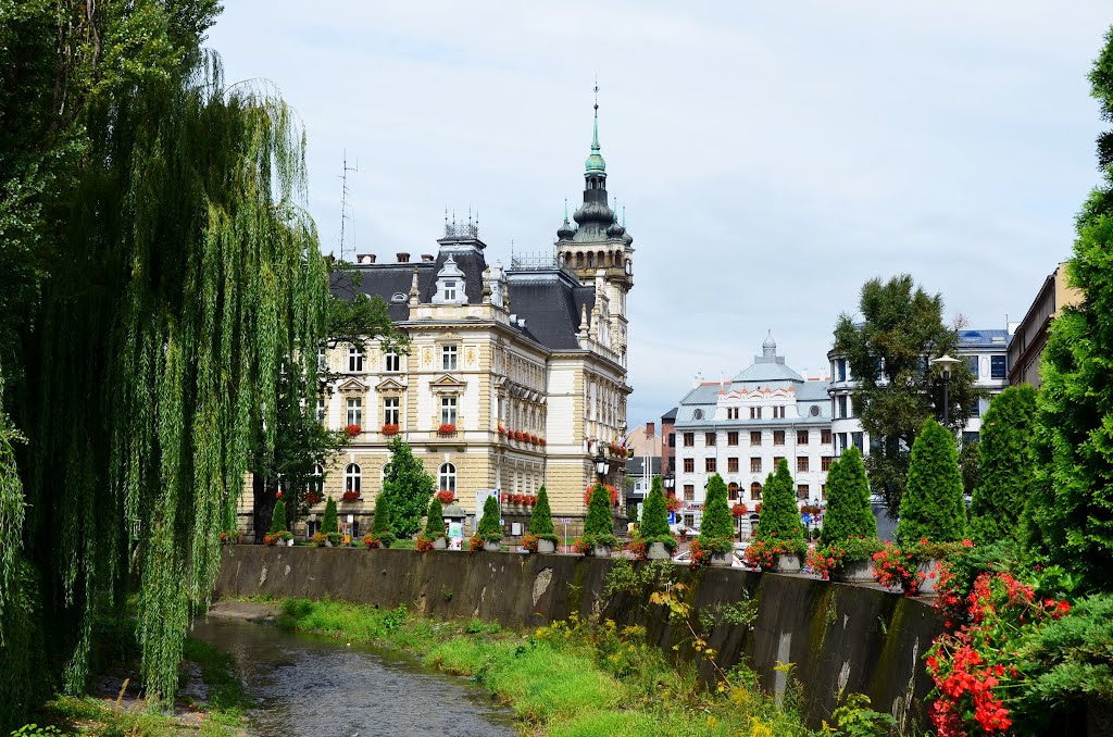 Rzeka Biała w Bielsku-Białej