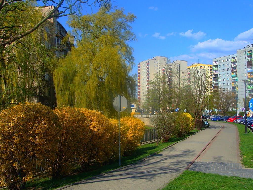 Wiosna w Bielsku-Białej.