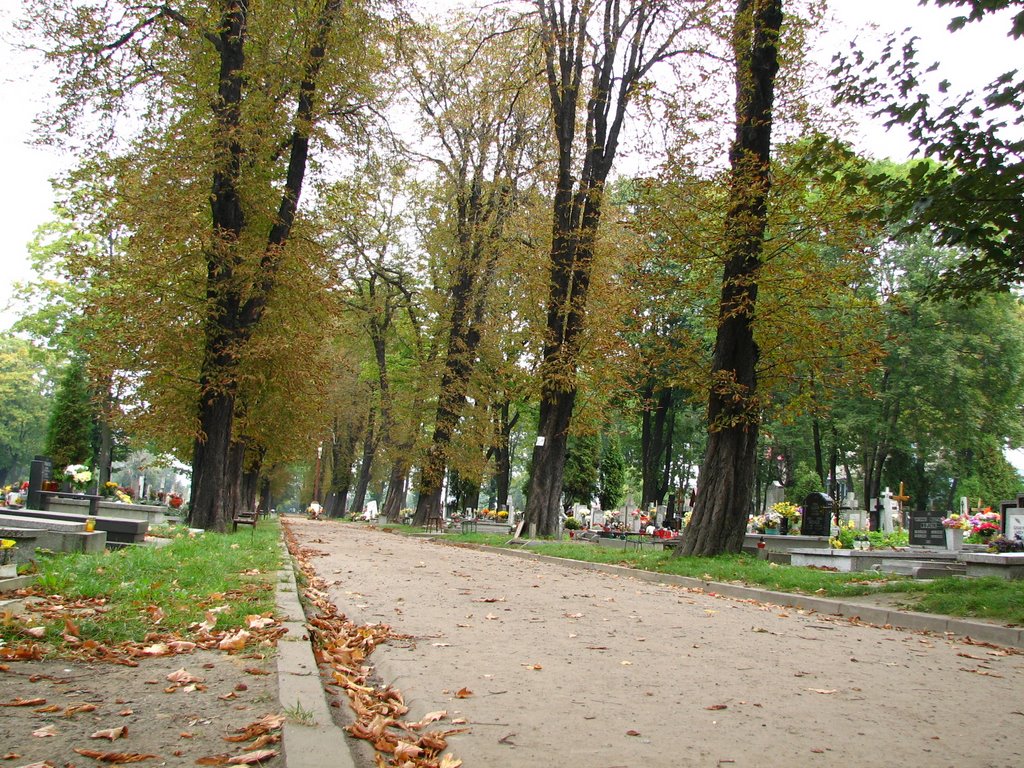 Bytoms Cementary (sb)