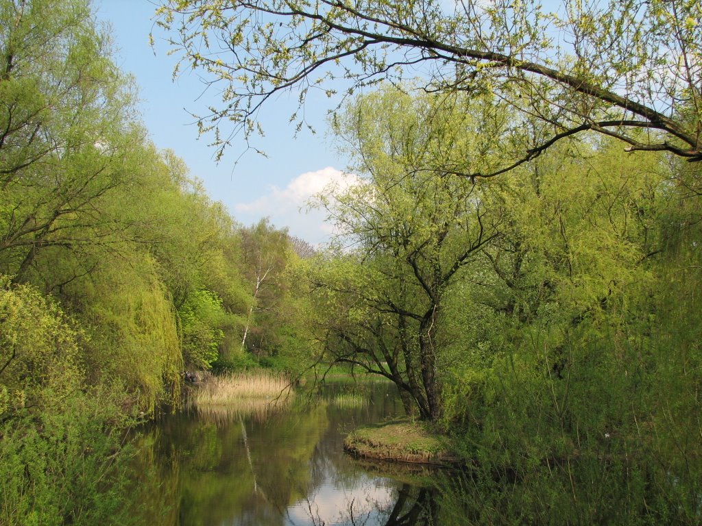 Park miejski wiosna (sb)