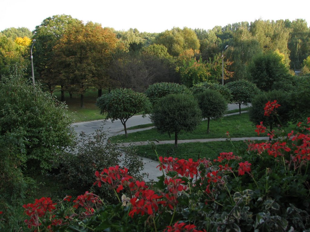 Widok z balkonu mojej tesciowej (sb)