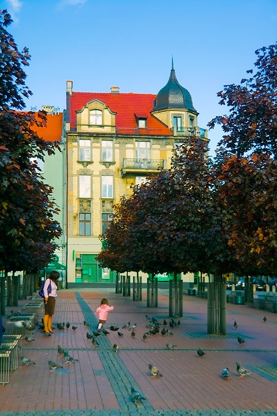 Rynek