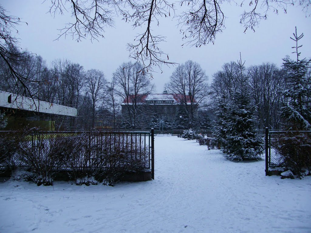 Urząd Miejski w Bytomiu od strony parku.