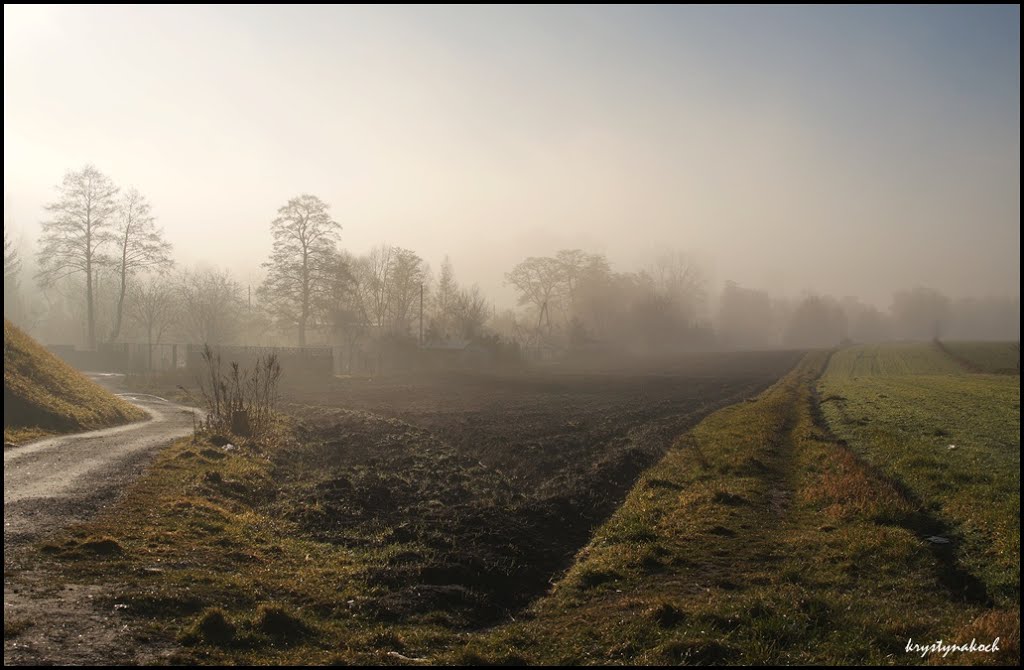 GLIWICE. Mglisty poranek/Foggy morning