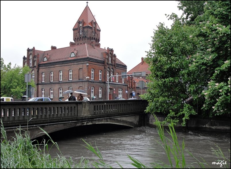 Kłodnica w czasie powodzi (2010)/Klodnica river during the flood