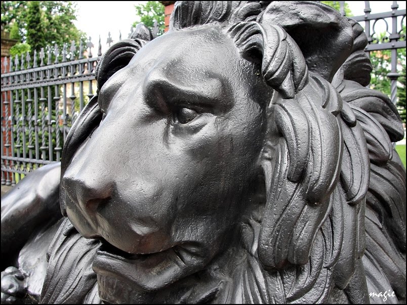 Lew czuwajacy przed Willą Caro/The Watchful Lion in front of Willa Caro