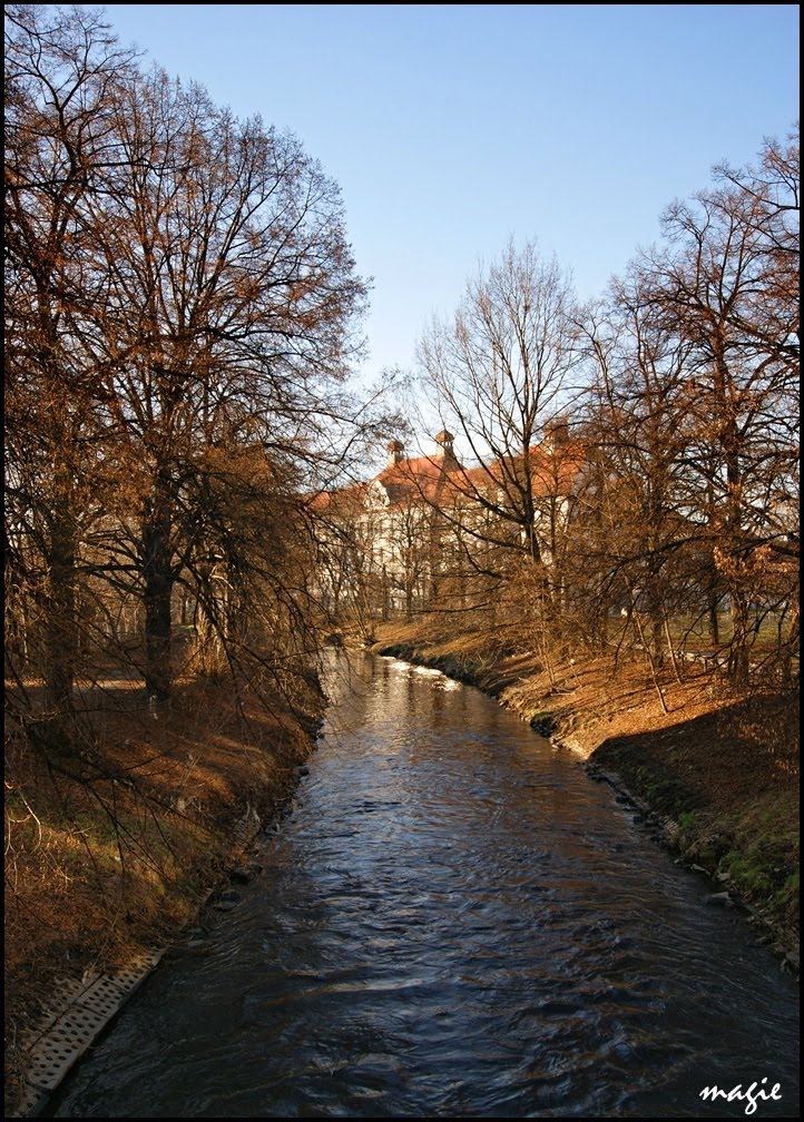 GLIWICE. Przedwiośnie nad Kłodnicą/Early spring by Klodnica River