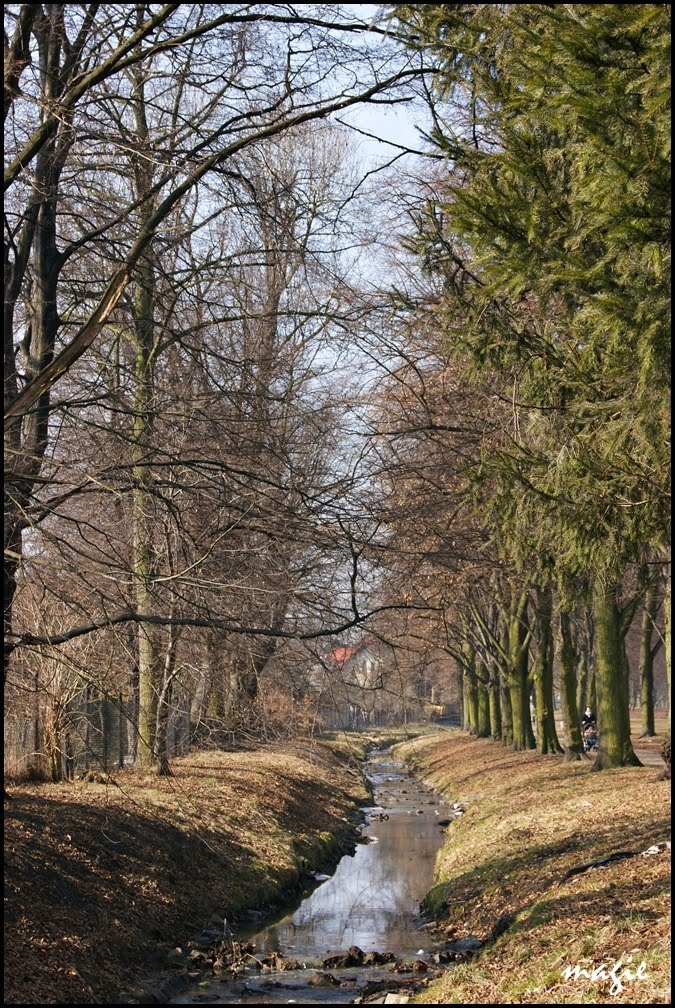 GLIWICE. Nad Ostropką/By Ostropka river