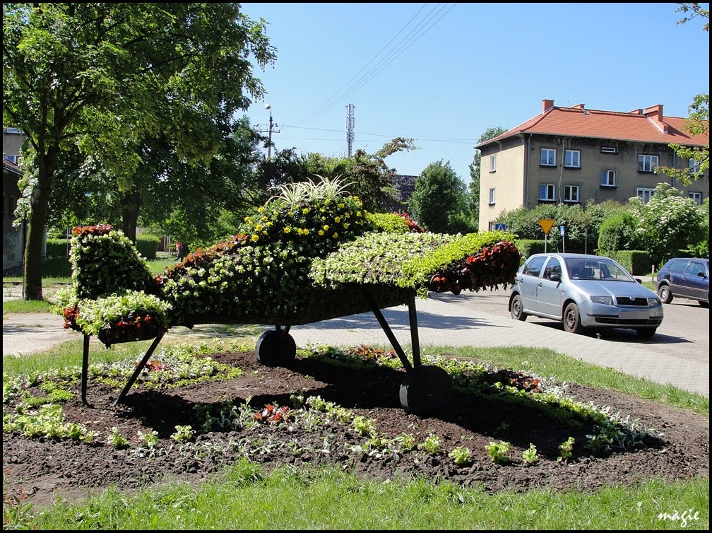 Gliwickie dekoracje kwiatowe. Koło lotniska obowiązkowo samolot!/Gliwice flower decorations. Obligatory: plane near the airport!