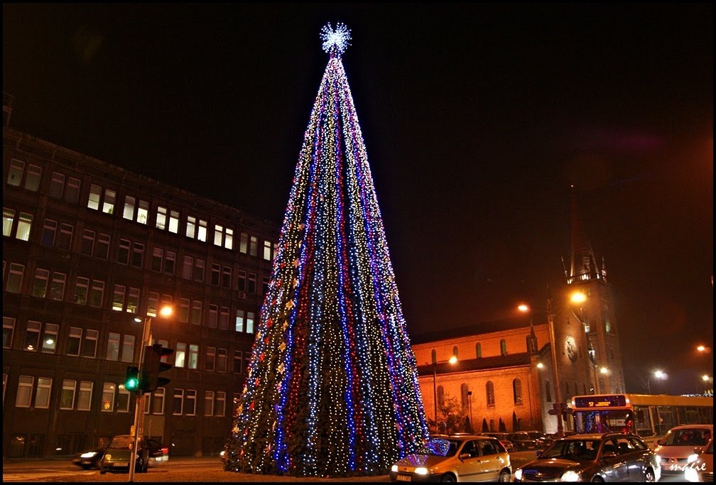 GLIWICE. Najwyższa choinka w mieście/The highest Christmas tree in my town