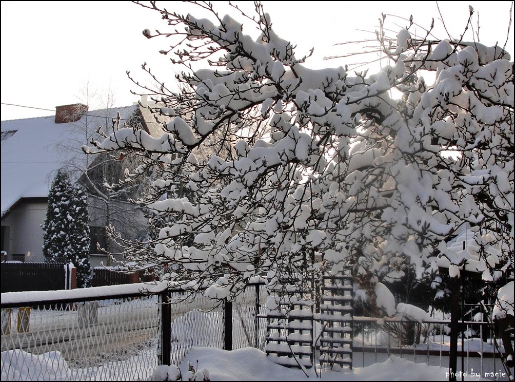 Gliwice. Grudzień 2010/December 2010