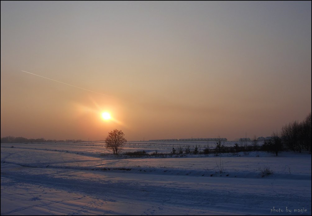 GLIWICE. Styczeń 2010/ January2010