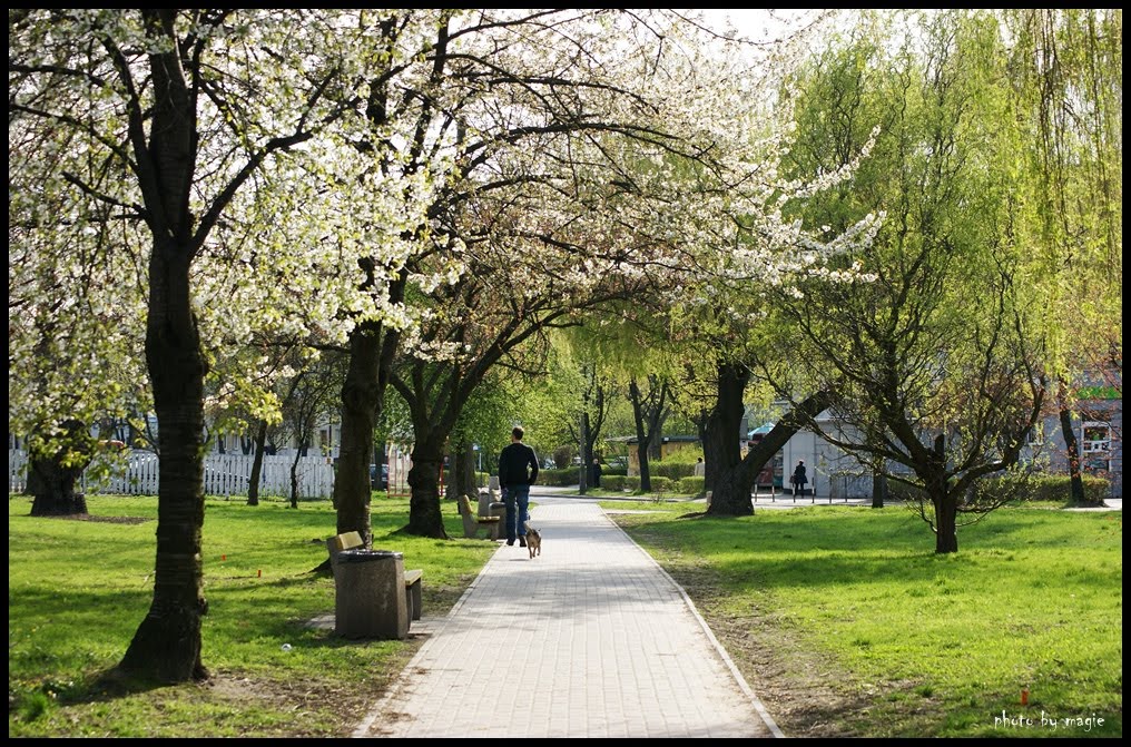 GLIWICE. Wiosna na Sikorniku/Spring in Sikornik estate
