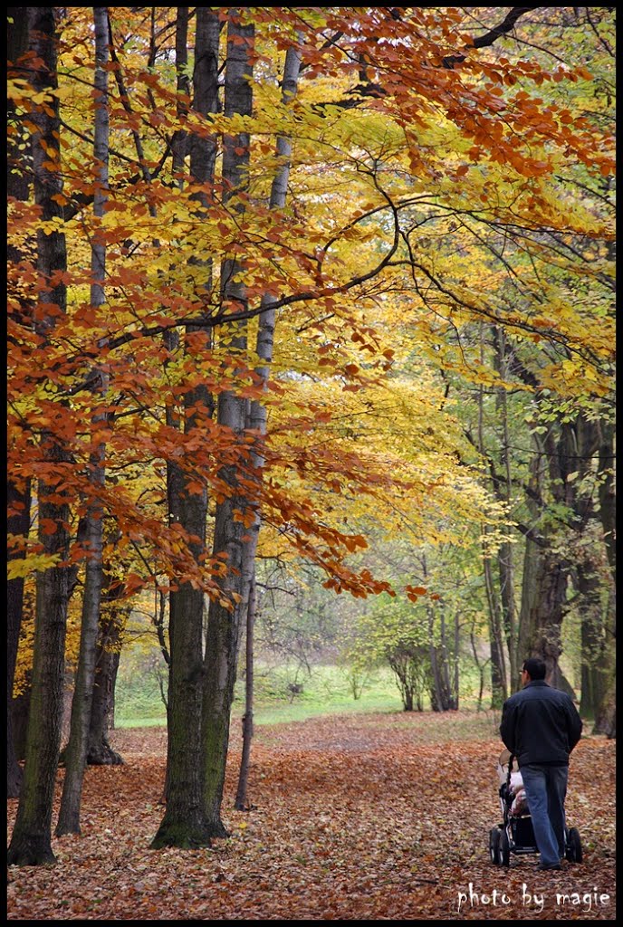 GLIWICE. Jesień w Parku Chrobrego/Autumn in Chrobry Park