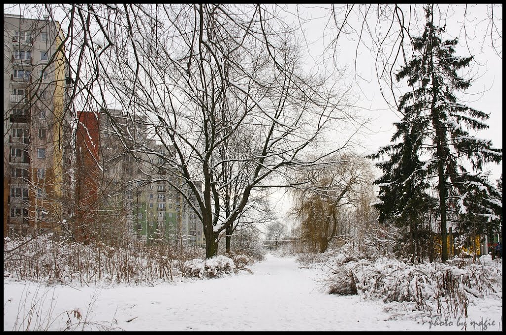 GLIWICE. Na skróty do domu.../ Shortcut to my house...