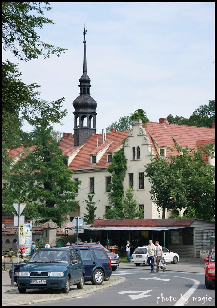 GLIWICE. Zakład Opiekuńczo-Leczniczy./Protection and Treatment Institute.