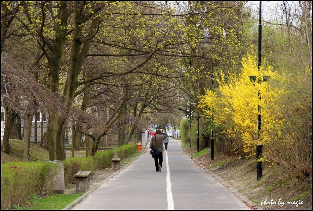 GLIWICE. Alejka Sikornik/Sikornik alley