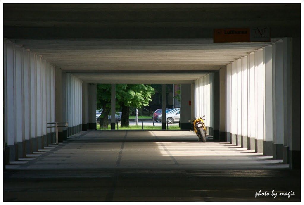 GLIWICE. Podcienia Wydziału Górniczego Politechniki Śląskiej/The arcades of the Mining Faculty of the Silesian Technical University.