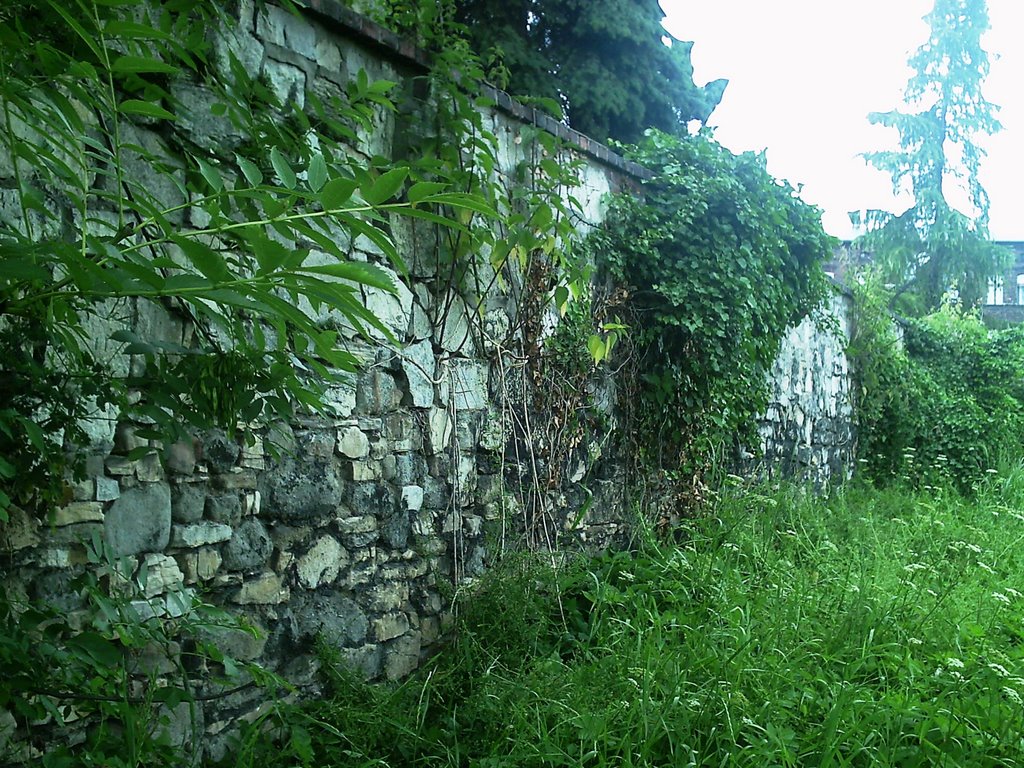 Obmurowania Zamku w Siemianowicach