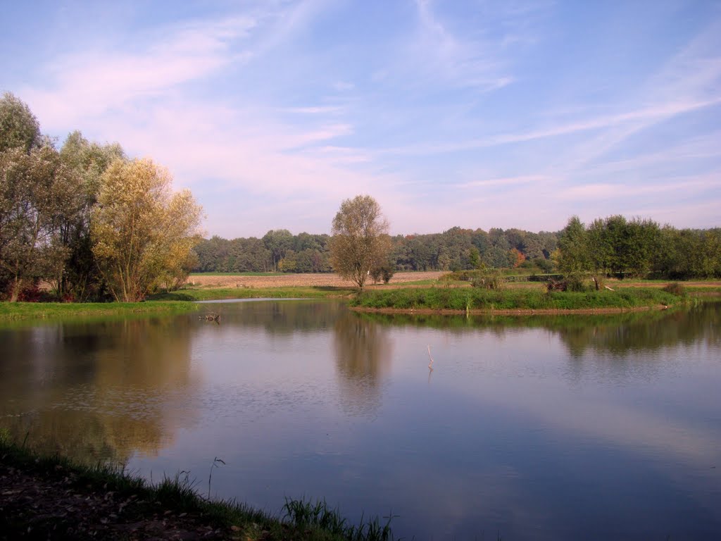 Staw Remiza, Siemianowice Śląskie