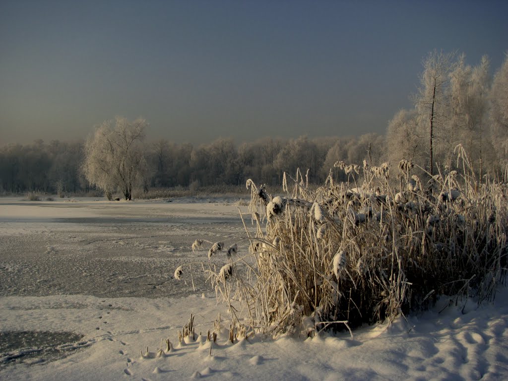 Siemianowice, Staw Rzęsa - Zima 2010