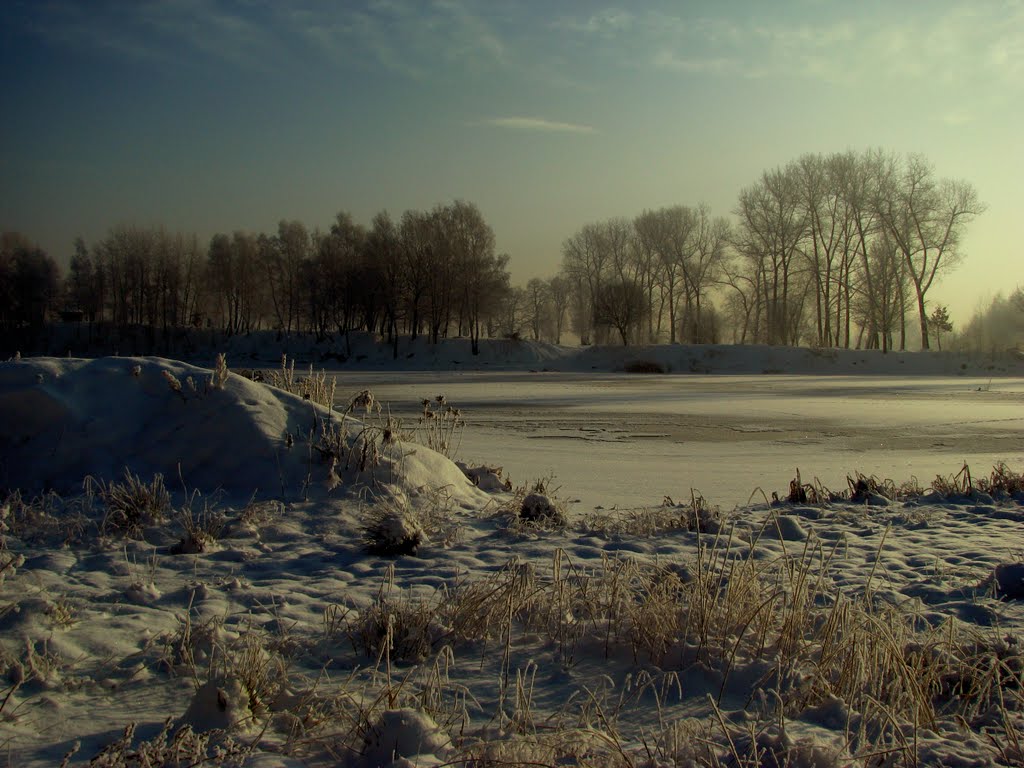 Siemianowice, Staw Rzęsa - Zima 2010