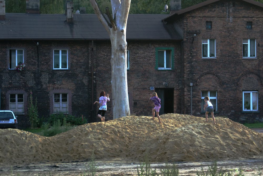 Katowice, Alfred