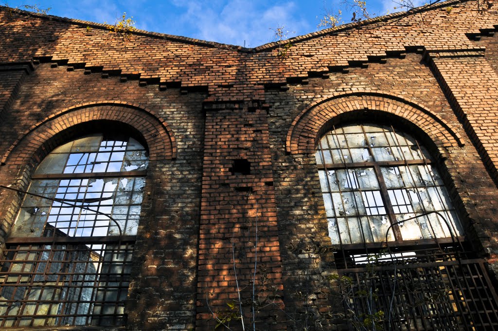 Windows