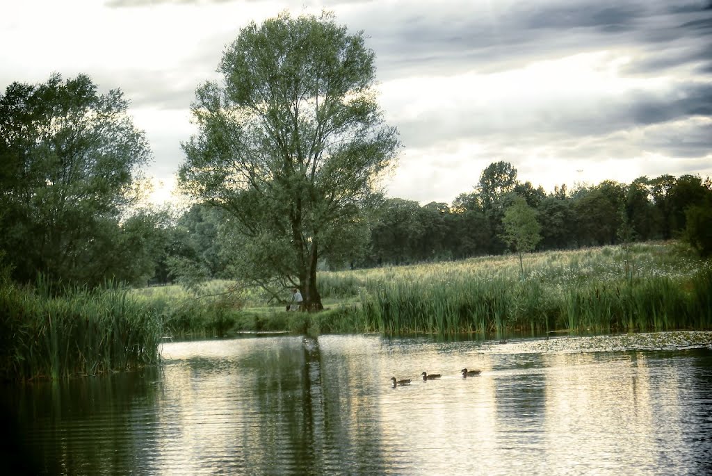 Siemianowice Ślaskie, staw Remiza