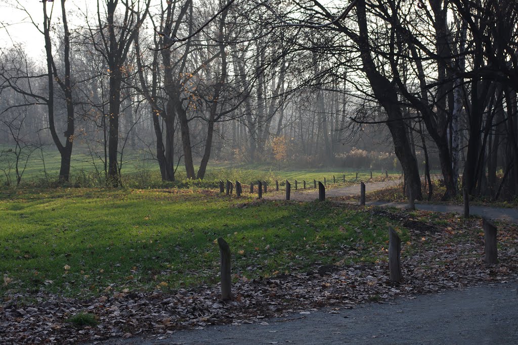 Siemianowice Śl. Bażantarnia