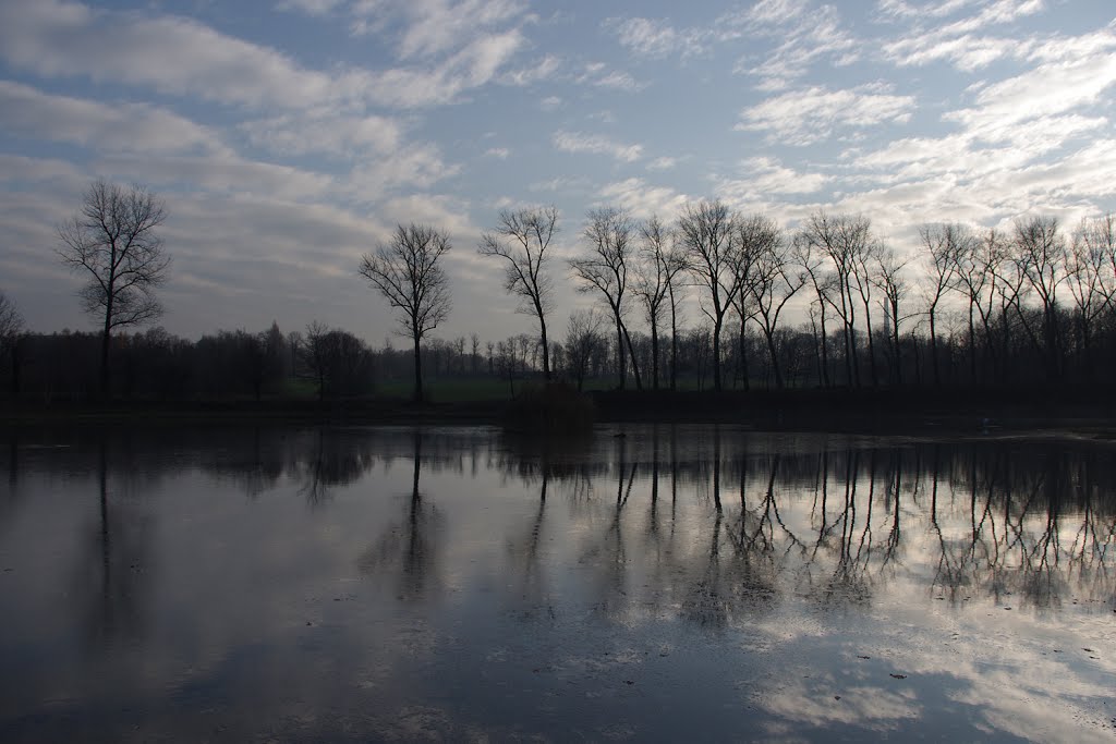 Siemianowice Śl. Bażantarnia