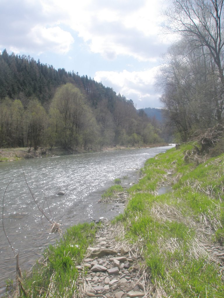 Żywiec