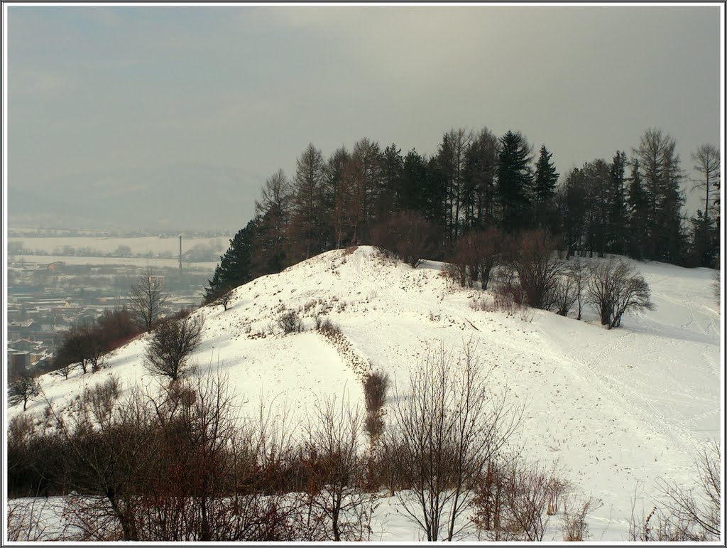 Mały Grojec
