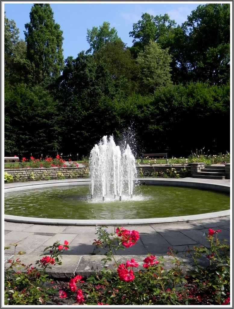 Żywiecki Park